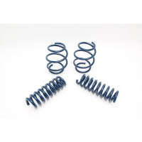 Dinan Performance Coil Spring Set (14-16 BMW 228i/17-21 230i)