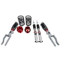Evolved Autosport Coilovers (18-25 Tesla Model 3/20-24 Model Y | AWD)