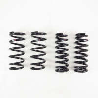 RS-R Lowering Springs for | T996D-RS-R | Fitment Industries