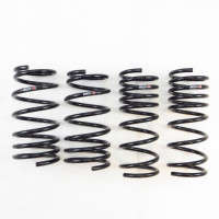 RS-R Super Down Springs | 13-16 Scion FR-S (ZN6)