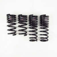 RS-R TI2000 Down Lowering Springs | 09-24 Nissan GT-R