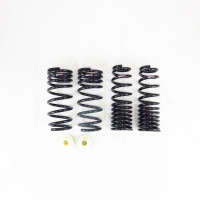 RS-R Super Down Springs w/ Custom Rubber Bump (2pcs) | 21-24 Lexus IS300/IS350 RWD