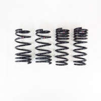 RS-R Down Lowering Springs | 22-24 Toyota GR86