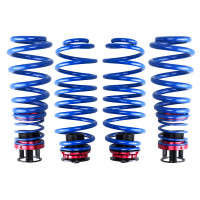 Function and Form Adjustable Spring Sleeve Kit (09-16 Audi A4/S4 | B8)