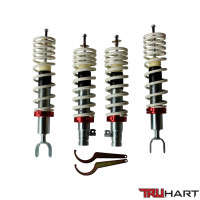 TruHart Basic Coilovers (94-01 Acura Integra/92-00 Honda Civic)