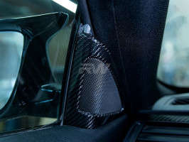 RW Carbon Carbon Fiber Speaker Trims