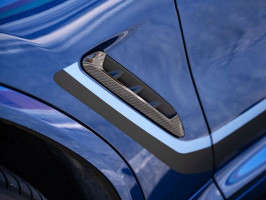 RW Carbon Carbon Fiber Fender Trims