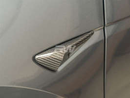 RW Carbon Carbon Fiber Fender Trim Replacements