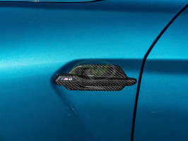 RW Carbon Carbon Fiber Fender Trims