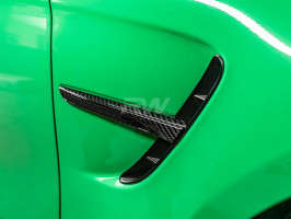 RW Carbon Carbon Fiber Fender Trim