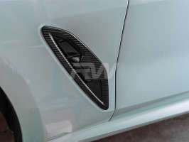 RW Carbon Carbon Fiber Fender Trims | Trim Only