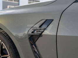 RW Carbon Carbon Fiber Fender Trims | Trim Only