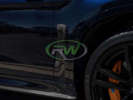RW Carbon Carbon Fiber Fender Trims