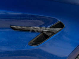 RW Carbon Carbon Fiber Fender Trims