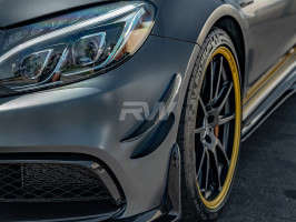 RW Carbon Carbon Fiber Canards | Canards Only