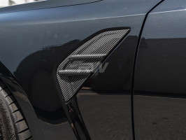 RW Carbon V2 Carbon Fiber Fender Trim | Trim Only