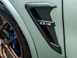 RW Carbon Carbon Fiber Fender Trims
