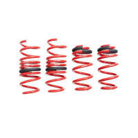 Megan Racing Lowering Springs (17-22 Audi A4/A5)