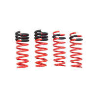 Megan Racing Lowering Springs (19-25 BMW M850i/20-25 840i)