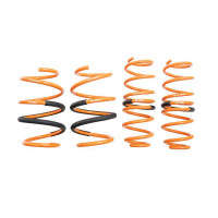 Megan Racing Lowering Springs (22-25 Honda Civic)