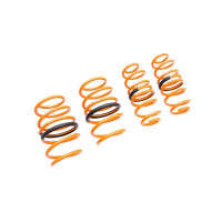 Megan Racing Lowering Springs (20-25 Toyota Corolla | Sedan | FWD)