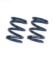 Fortune Auto Rear Hyperco Spring Upgrade | Pair