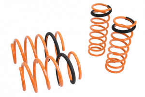 Megan Racing Lowering Springs | 00-04 Ford Focus