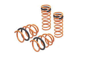 Megan Racing Lowering Springs | 13-18 Ford Focus