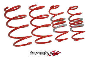 Tanabe DF210 Lowering Springs | 10-15 Toyota Prius