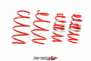 Tanabe NF210 Lowering Springs | 11-13 Lexus CT200h (ZWA10L)