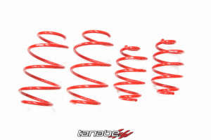 Tanabe NF210 Lowering Springs | 13-15 Nissan Sentra SR