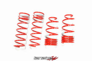 Tanabe NF210 Lowering Springs | 14-16 Nissan Versa Note
