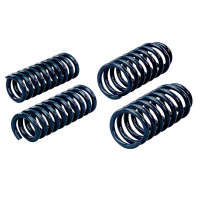 Hotchkis Sport Suspension Sport Coil Springs (06-09 Dodge Charger)
