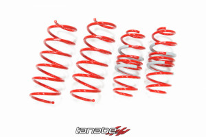 Tanabe DF210 Lowering Springs