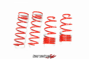 Tanabe NF210 Lowering Springs