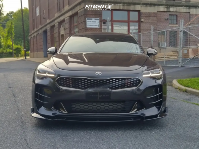 2019 Kia Stinger GT with 19x8.5 Aodhan Aff7 and Ohtsu 235x35 on Stock